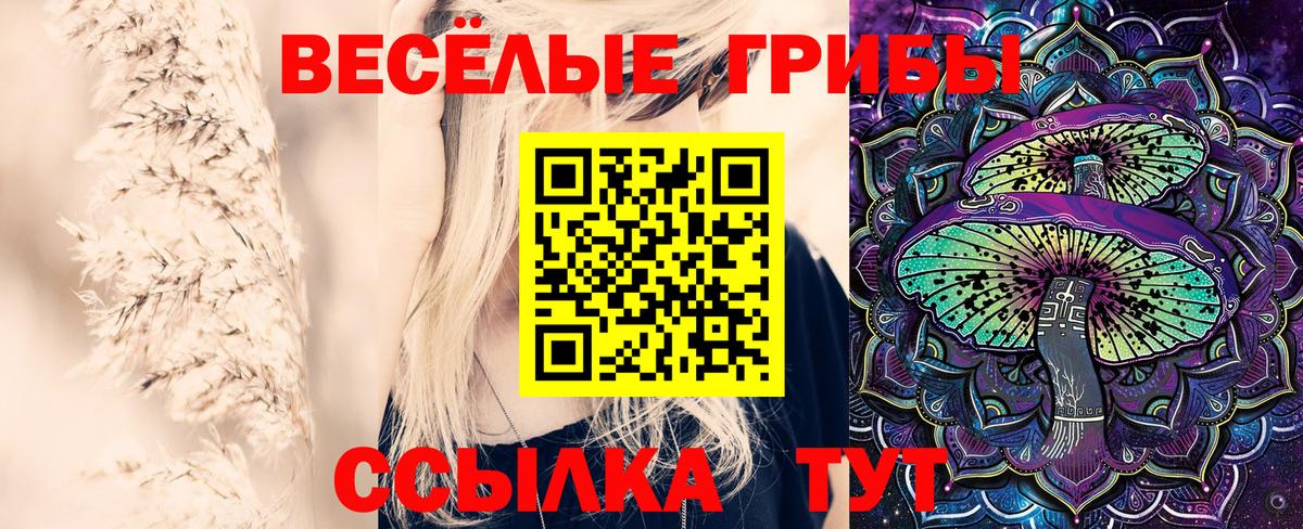 Грозный  Галлюциногенные грибы Psilocybine cubensis  Вход с VPN  Псилоцибиновые грибы ЛСД 