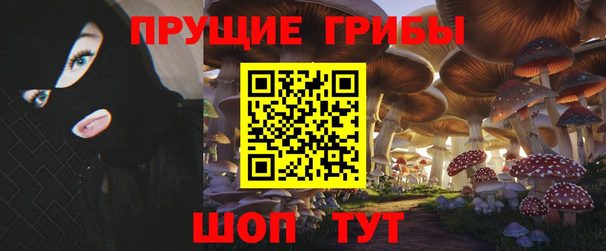 Галлюциногенные грибы GOLDEN TEACHER Грозный